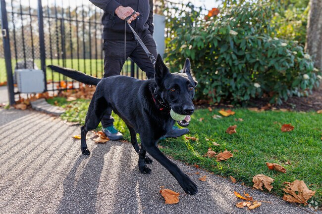 Maple Lawn is Luna's favorite spot in Fulton