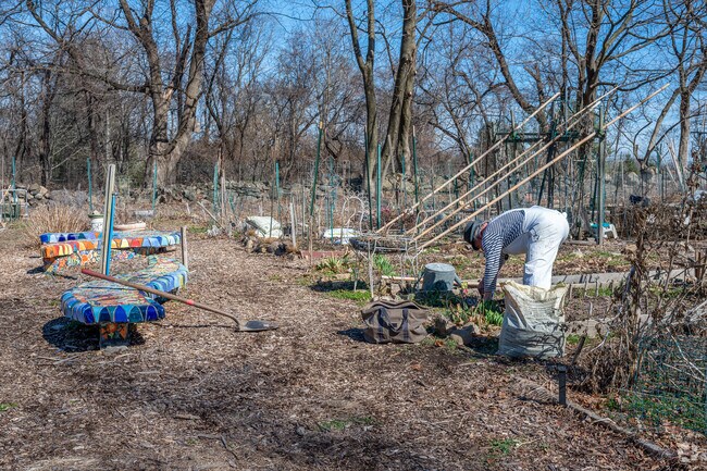 Ward Acres Park in Ward Acres has a community garden.