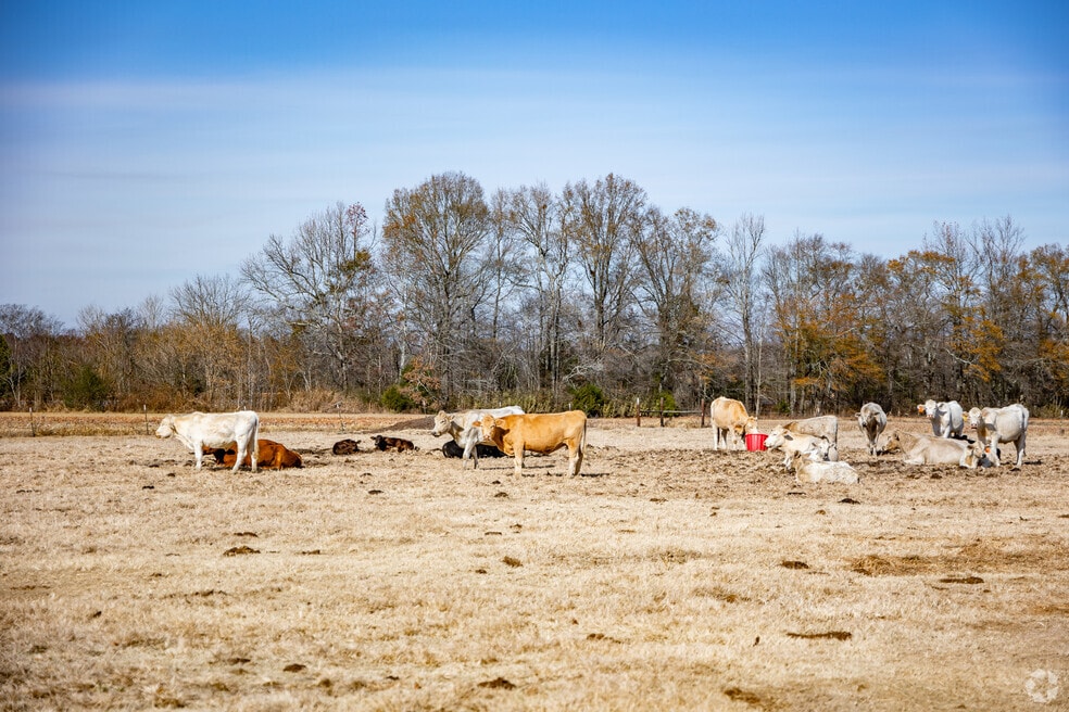 Cartwright_525436_DW_101525_V1