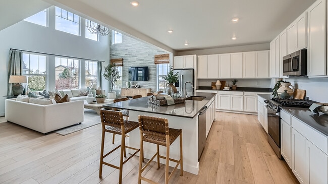 4001 Buttongrass Trail, Castle Rock, CO 80108 - photo 3