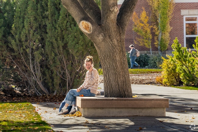 A student relaxes under a tree on Snow College campus.