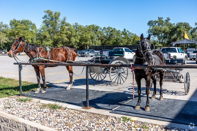Horses and buggies are a popular mode of transportation in and around Kalona.