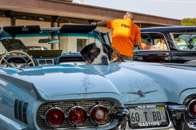 Town and Country car enthusiasts can appreciate the classic vehicles at Park on Park.