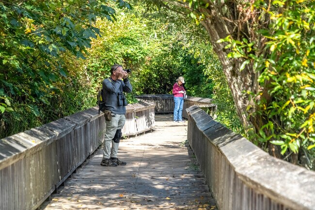 Nisqually Wildlife Refuge near North Yelm has a boardwalk with plenty of views.