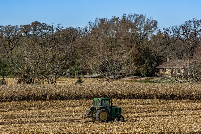 A farmer harvests crops in a field in Virgil before winter arrives.