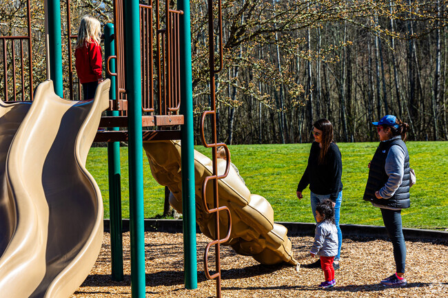 South Hill community Park has a play area and large dog walking area.