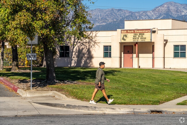 A view of the Oak Park Elementary School buildings from the street.