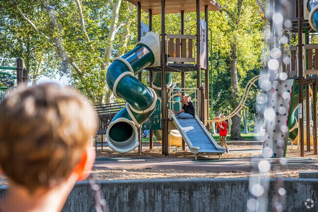 Some kids enjoy the playground at Royer Park in downtown Roseville.