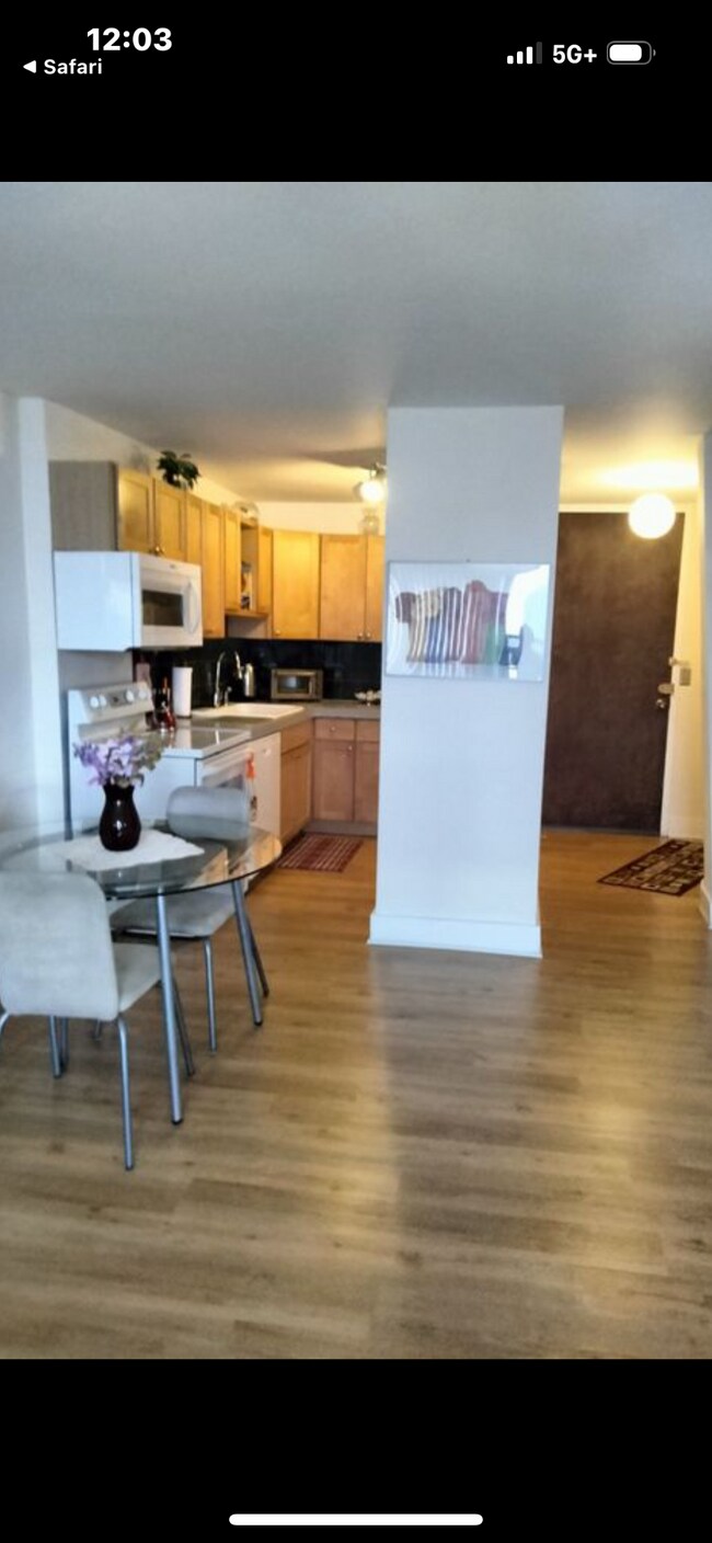 5100 N Marine Dr unit 24C, Chicago, IL 60640 - photo 6