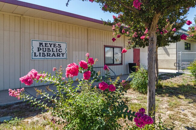 Borrow a book from the Keyes Public Library.