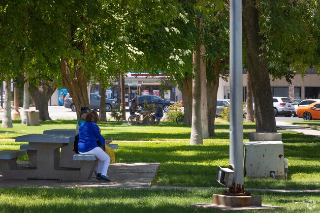 Holt Park offers plenty of shade for its patrons to enjoy.