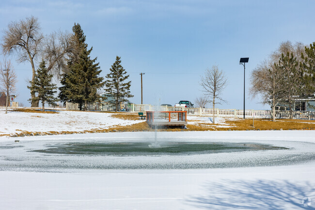 Blue Spruce Park in Severance has a serene water feature where ducks swim.