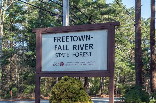 Freetown-Fall River State Forest in Assonet has a great variety of activities available like a splash-pad in the summer.