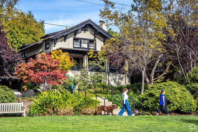 Residents walk along beautifully ornamented gardens in Central Piedmont.