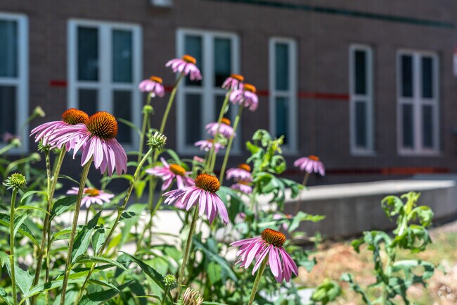 Many homes and schools in King Park have beautiful flowers and landscaping.