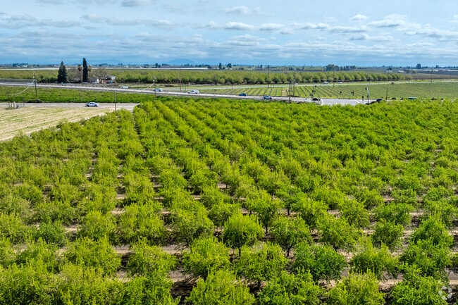 Fowler is situated amongst productive orchards and vineyards in Fresno County.