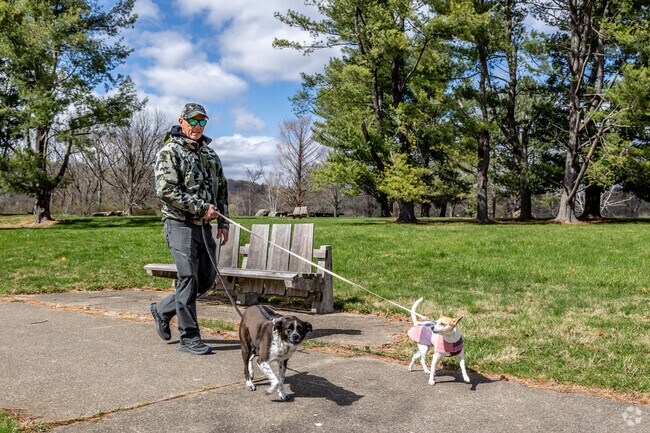 Spruce Run’s open fields and trails are perfect for walking, birdwatching, and outdoor fun.