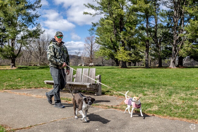 Spruce Run’s open fields and trails offer scenic space for walking and birdwatching.