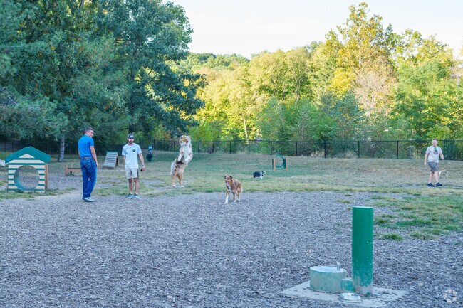 You'll be amazed at what some dogs do while they play at the Happy Hollow Dog Park near Miller.