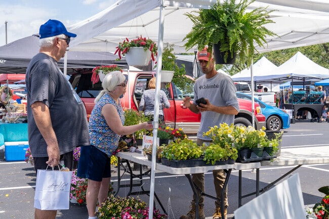 Ask a local expert in Old Town Saint Charles about what plants you should add to your home.