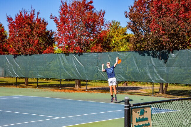 Play a game of tennis at Forest Hill Park near Swansboro.