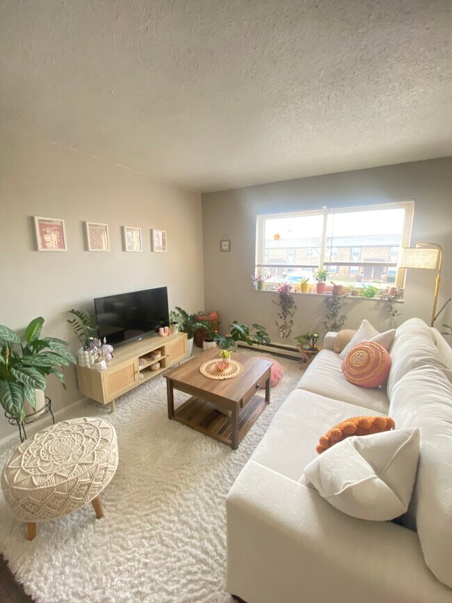 Homes for Rent in 63129