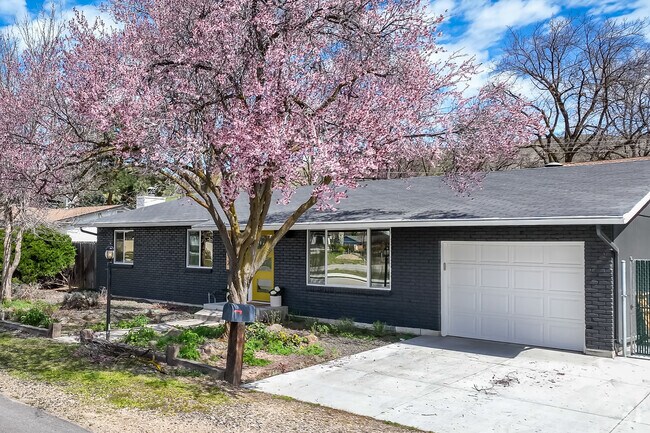 Smaller homes like ranch styles and ramblers are easy to find in Sunset.