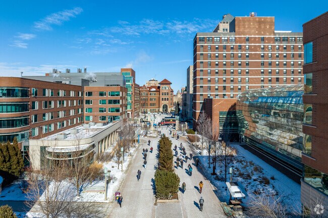 Loyola University is located near the Edgewater neighborhood.