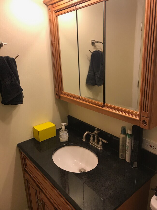 7461 Blackburn Ave unit F201, Downers Grove, IL 60516 - photo 5