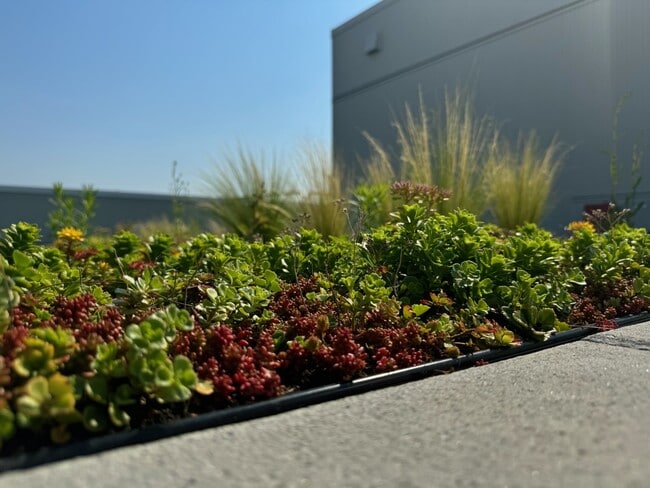 Junction Central, Seattle, WA 98116 - photo 6