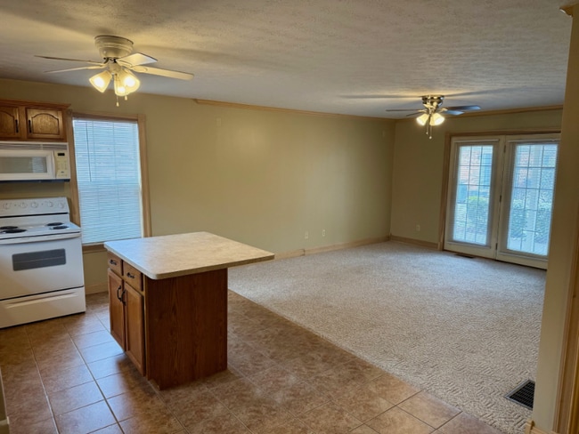 1616 Spring Valley Dr unit Park Place 48, Huntington, WV 25704 - photo 3