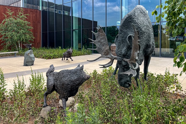 The North Woods Garden is at the Bell Museum in Falcon Heights.