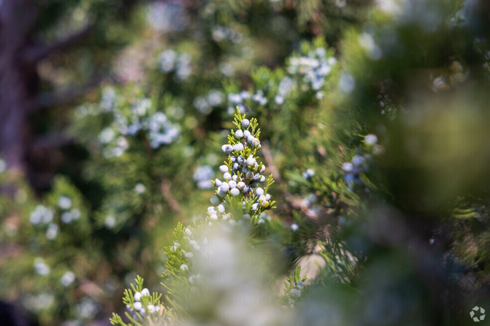 SpringCreek_534976_TN_101725_FINAL