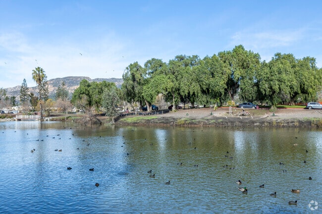 The Lindo Park Lake is popular with bird watchers in Lakeview.