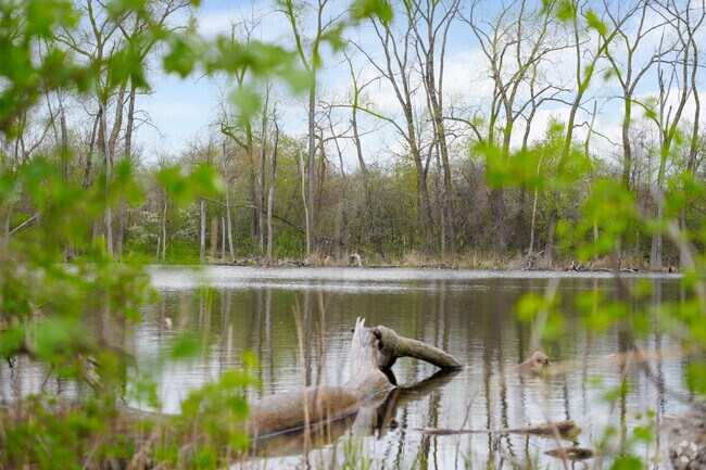 Beaubien Woods is a beautiful nature preserve on the north side of Dolton.