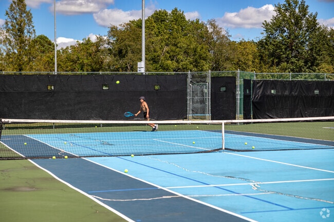 Practice your tennis skills at Cosmopolitan Park near Ridgeway.