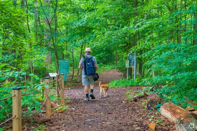 Immerse yourself in nature as you hike along the undeveloped trails at the Clyde Shepherd Nature Preserve in Greater Valley Brook.