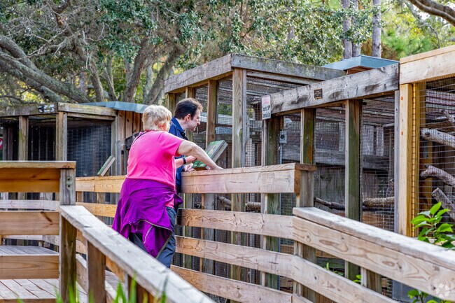 George C McGough Nature Park in Collins Estates is a great place to learn about native animals.