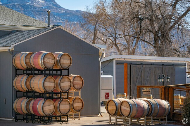 Grand Junction vineyards offer a perfect blend of nature, wine, and unforgettable moments.