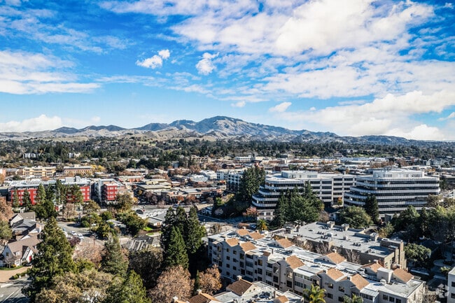 Discover charming streets and upscale experiences in Downtown Walnut Creek.
