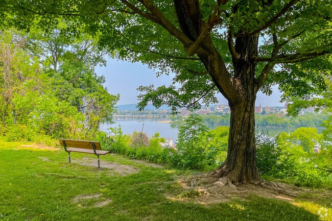 Relax on one of the many park benches overlooking the Susquehanna River in Lower Allen Township.