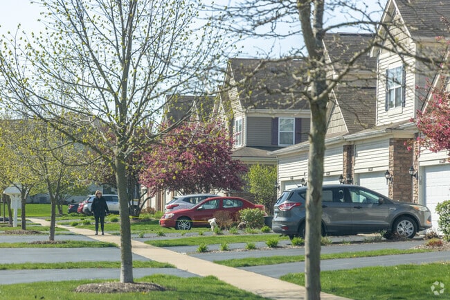 The residents of Valley View enjoy morning walking with pets around the neighborhood.