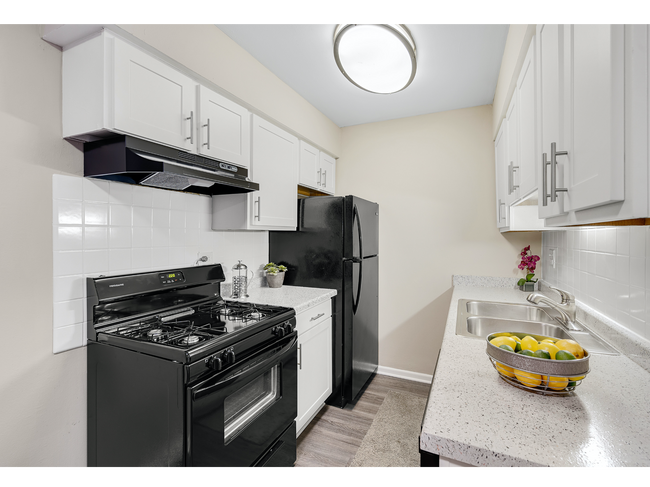 Charming Kitchen | Apartments For Rent in Mount Prospect Illinois | The Element