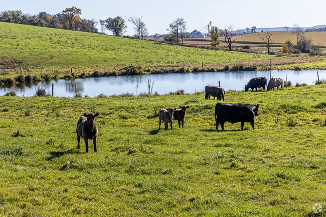 Gregg is home to many more cows than people.