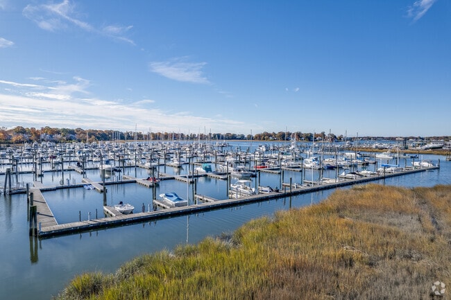 Discover the serene beauty at Foote Riverside Park with scenic views of the Branford River.