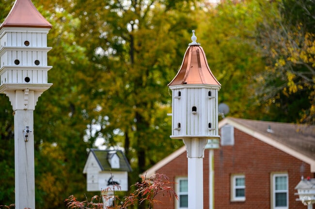 Detail of copper-top birdhouses, part of a private collection of birdhouses in Poquoson West.