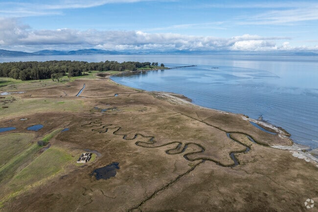 Hilltop/Montalvin's Point Pinole Regional Park is full of beautiful snaking waterways.