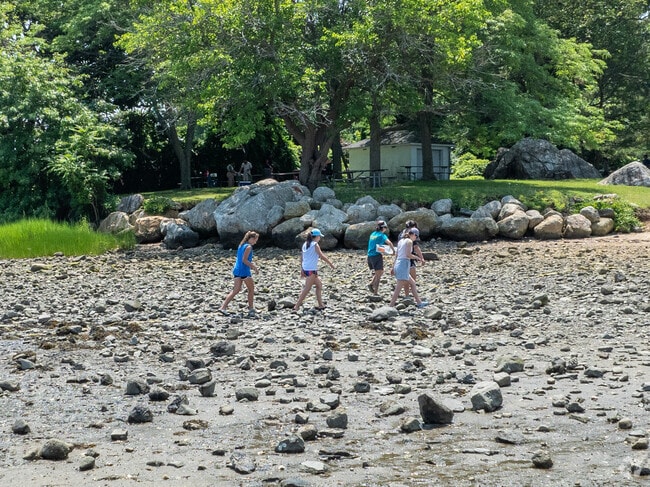 Shippan residents enjoy exploring local beaches.
