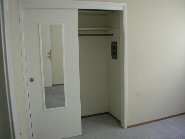 Mirrored closet door
