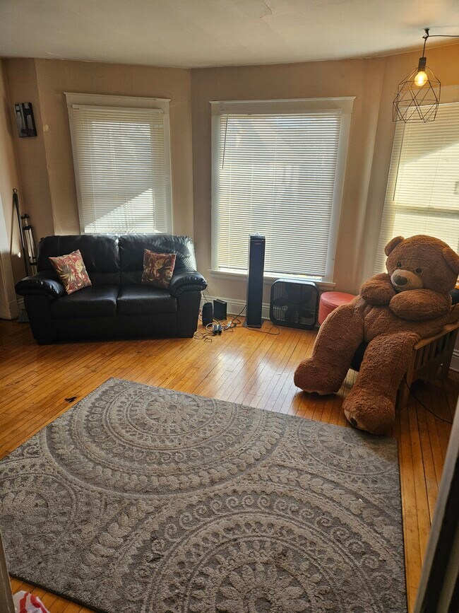 450 W Doty St unit 3, Madison, WI 53703 - photo 3